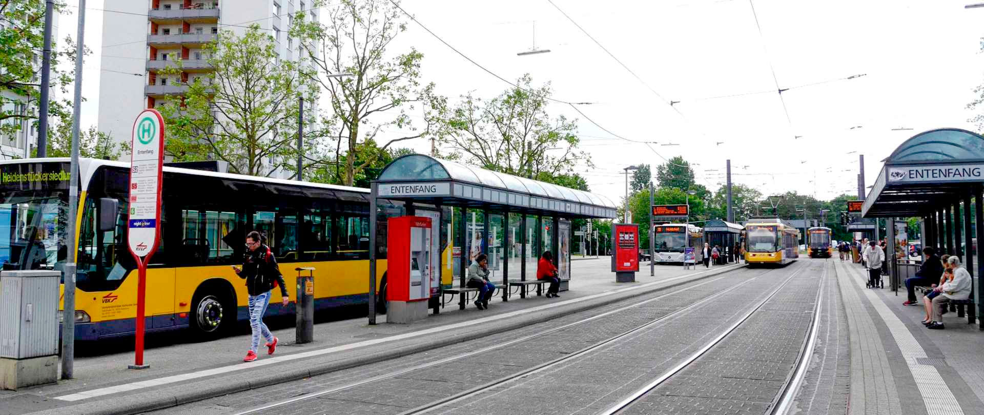 Alle Wege führen zum Entenfang ... auch vom Elsass und der Pfalz